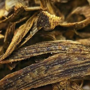 Kynam agarwood threads natural raw material for premium oud products