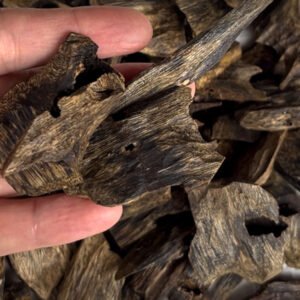 Premium Kynam Oud Chips Wholesale Supplier