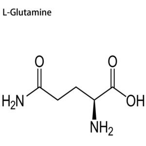 High-Purity L-Glutamine ≥99.8% Pharmaceutical Food Grade Powder