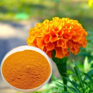 Marigold Extract Zeaxanthin 70% Powder Bulk Supplier