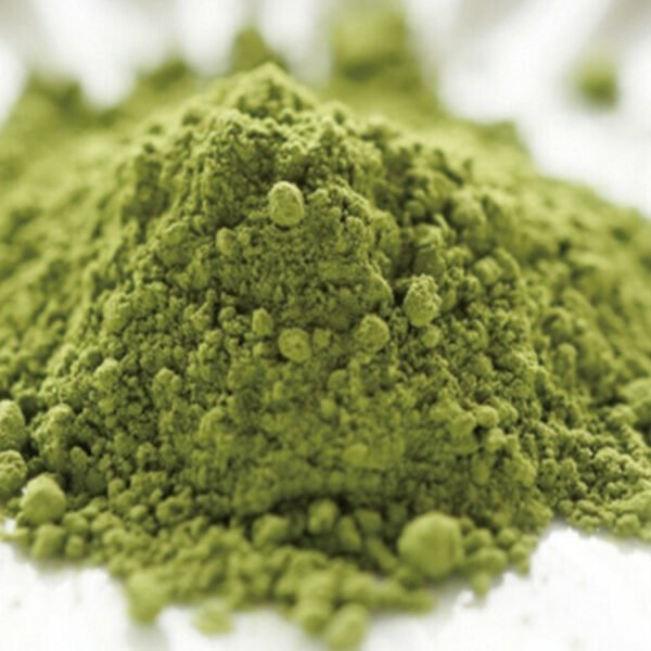 Premium Ceremonial Grade Matcha Green Tea Powder Rich in Antioxidants GMP Certified