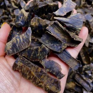 Sinking Kynam Oud Chips Premium Wholesale