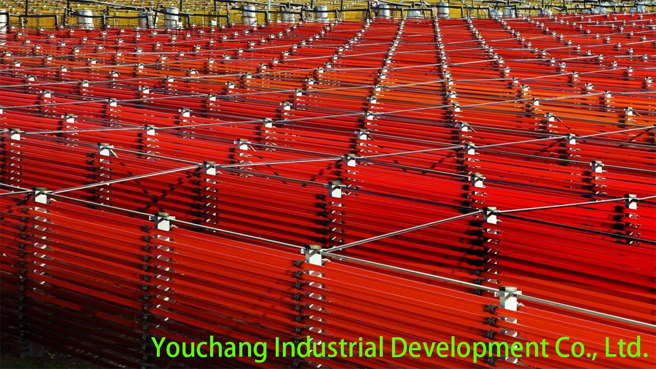 Natural Astaxanthin Cultivation Base – Professional Haematococcus Pluvialis Farm for Sustainable Production
