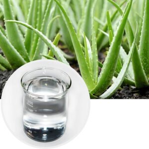 Cosmetic Grade Aloe Vera Leaf Water extracted from fresh Aloe barbadensis Miller leaves for skincare and cosmetic formulations