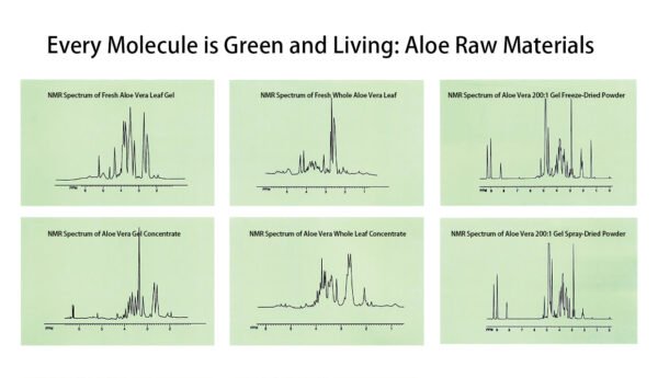 Molecular NMR Spectrum of Aloe Vera showing bioactive compound analysis for research and industry