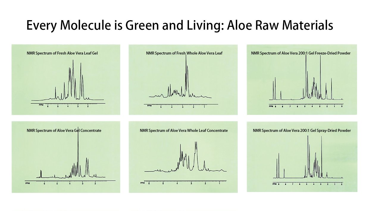 Molecular NMR Spectrum of Aloe Vera showing bioactive compound analysis for research and industry