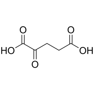 Premium Alpha-Ketoglutaric Acid (AKG) Powder - TCA Cycle Intermediate for Longevity & Cellular Energy - B2B Supplier