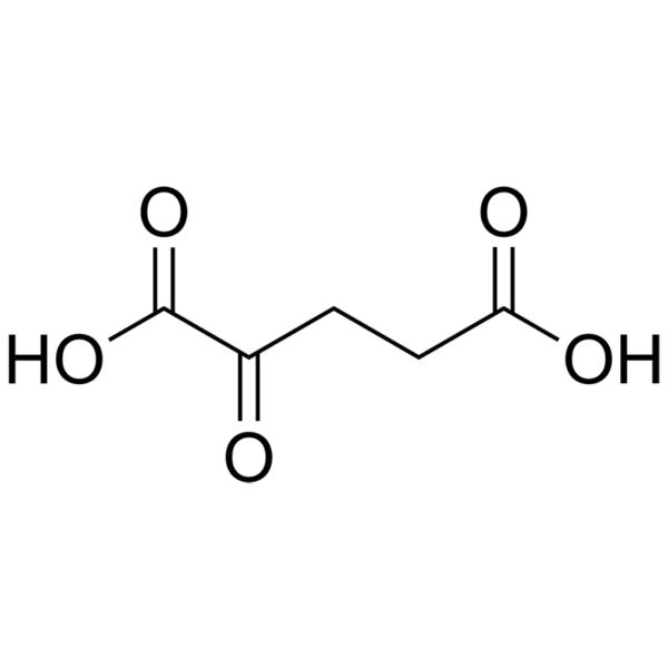 Premium Alpha-Ketoglutaric Acid (AKG) Powder - TCA Cycle Intermediate for Longevity & Cellular Energy - B2B Supplier