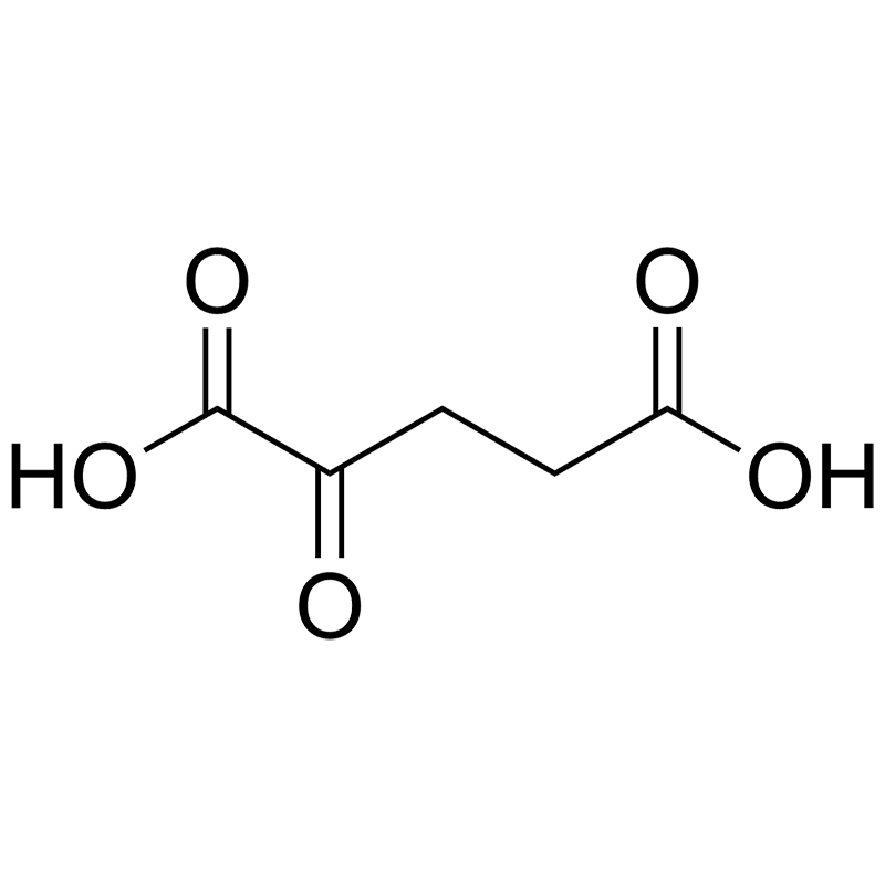 Premium Alpha-Ketoglutaric Acid (AKG) Powder - TCA Cycle Intermediate for Longevity & Cellular Energy - B2B Supplier