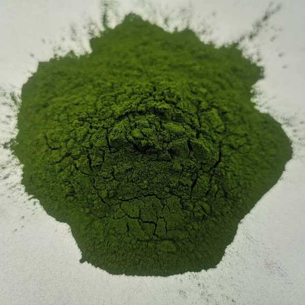 High-quality Chlorella pyrenoidosa powder for dietary supplements, functional foods, and cosmetics
