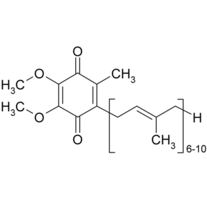 High-Purity Coenzyme Q10 Ubiquinol Supplier for Energy & Heart Health Supplements - B2B