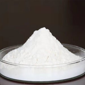 High-Purity Fermented Chondroitin Sulfate for Joint Health and Cartilage Support