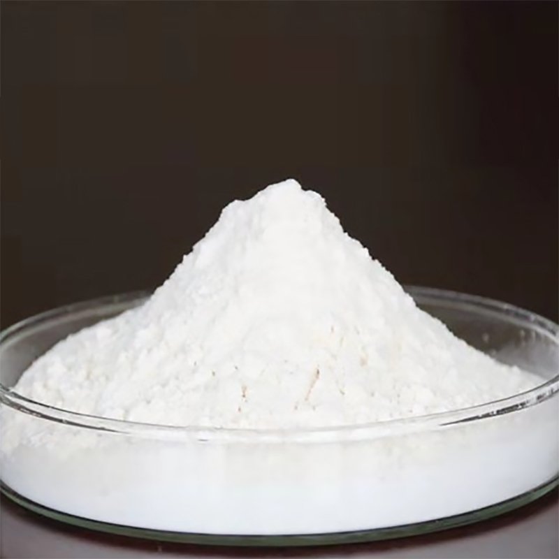 High-Purity Fermented Chondroitin Sulfate for Joint Health and Cartilage Support