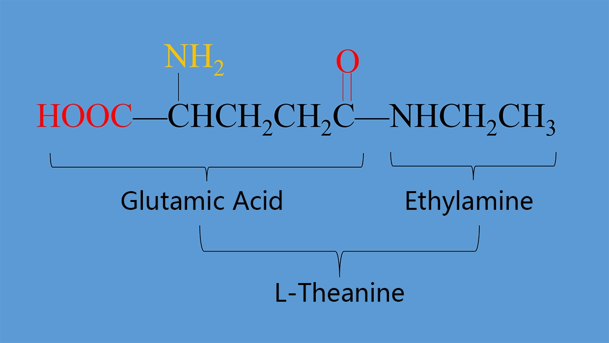 L-Theanine Chemical Structure – Natural Amino Acid for Relaxation and Cognitive Health