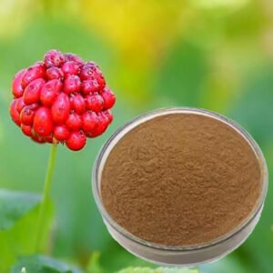 American Ginseng Berry Extract Powder for Supplements and Functional Foods