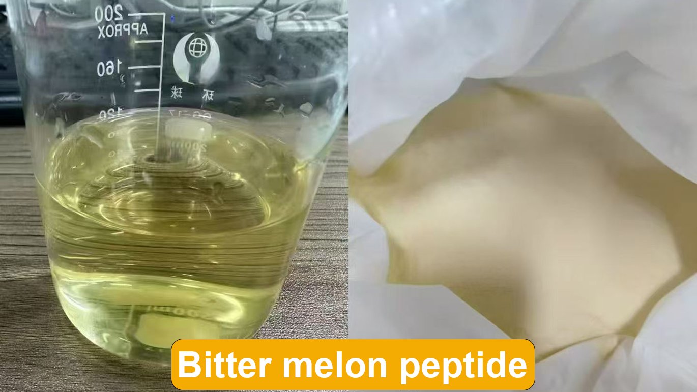 Bitter melon peptide water solubility effect showing clear dissolution for nutraceutical and functional food applications