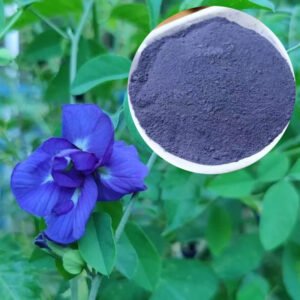 Butterfly Pea Blue Powder natural blue colorant for food and beverage applications