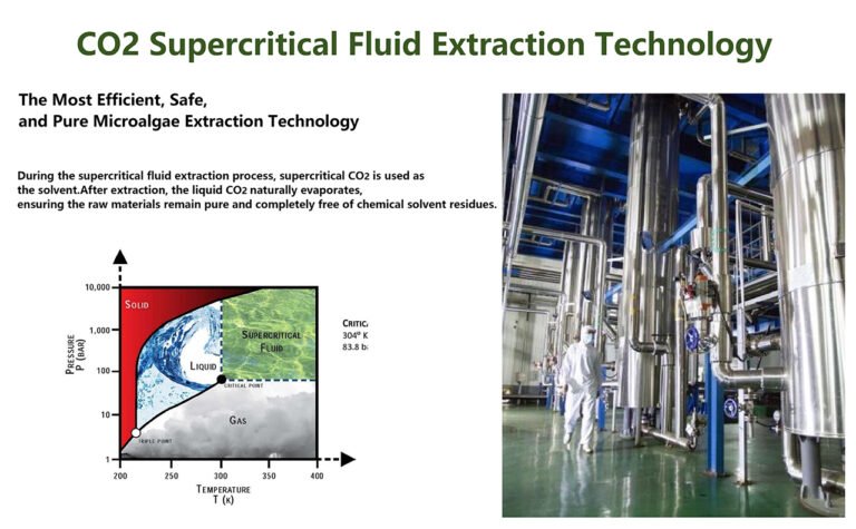 CO2 Supercritical Fluid Extraction Technology for Natural Astaxanthin and Bioactive Ingredients