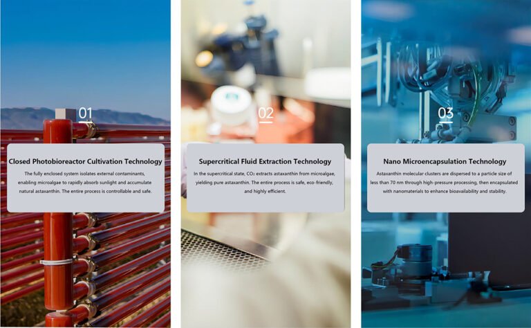 Core Technologies for Natural Astaxanthin Extraction and Purification