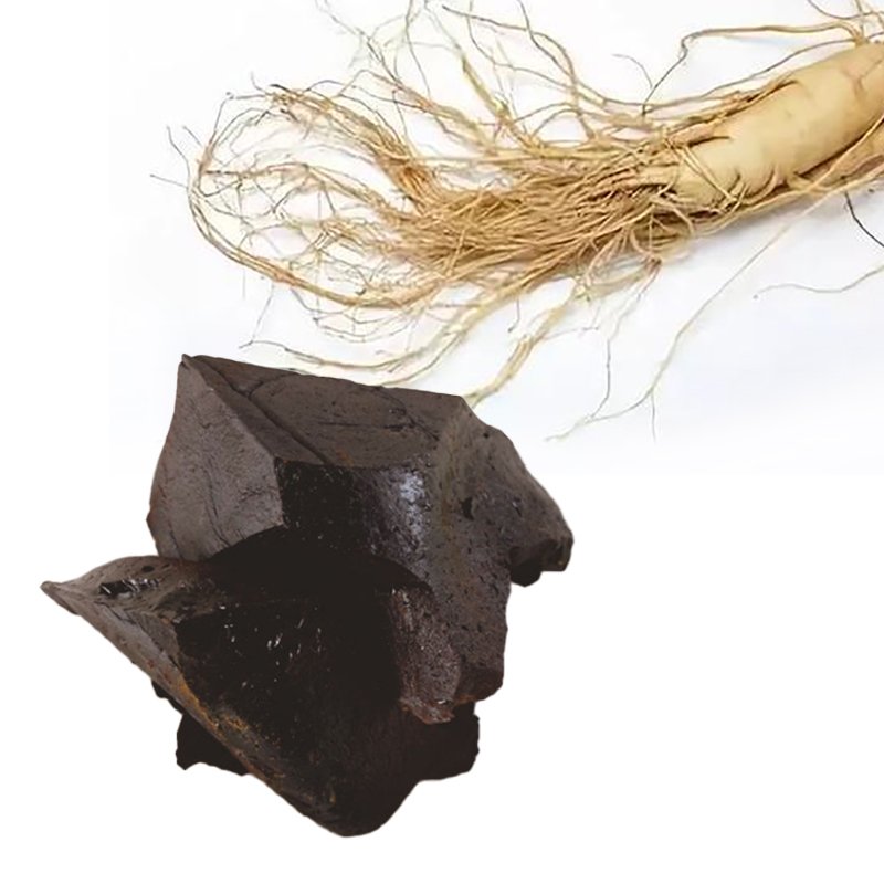 Ginseng Dry Extract Powder for Nutraceuticals, Functional Foods, and Health Supplements