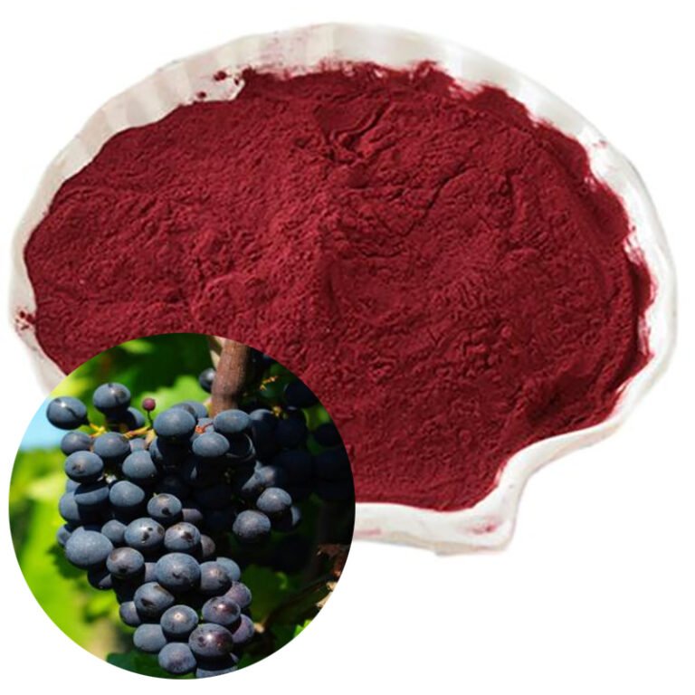 Grape Skin Red Color natural pigment powder for food, beverage, and cosmetic applications