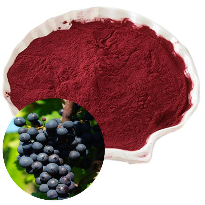 Grape Skin Red Color natural pigment powder for food, beverage, and cosmetic applications