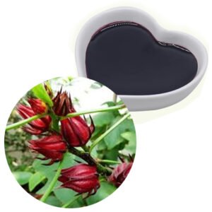 Hibiscus Juice Concentrate – Natural Red-Purple Pigment and Functional Ingredient for Food, Beverage, and Nutraceuticals