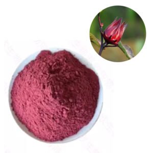 Hibiscus Red Natural Color Powder for Food and Beverage Applications