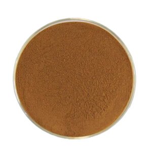 Licorice Extract Powder - Natural Glycyrrhiza glabra Flavoring Ingredient