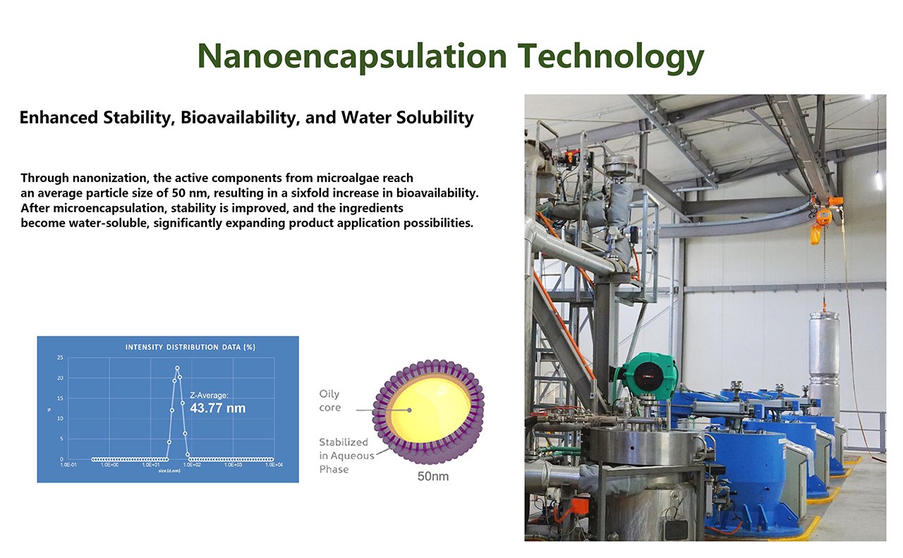 Nanoencapsulation Technology for Stabilizing Natural Astaxanthin and Active Ingredients