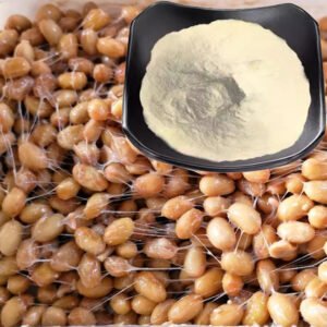Natto Peptide Powder – Fermented Soy-Derived Bioactive Peptides for Supplements, Functional Foods, and Nutrition Products