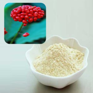 Panax Ginseng Berry Extract Powder for Nutraceuticals and Health Supplements