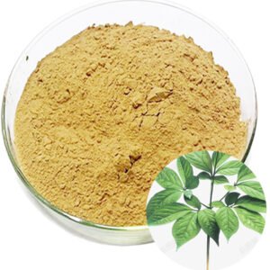 Panax Ginseng Leaf and Stem Extract Powder for Nutraceutical and Functional Food Manufacturing