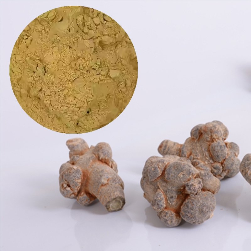 Panax Notoginseng Root Extract Powder, Standardized Saponins, Premium Herbal Ingredient for Supplements & Functional Foods