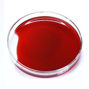 Premium Antarctic Krill Oil – High-quality Omega-3 from sustainable sources