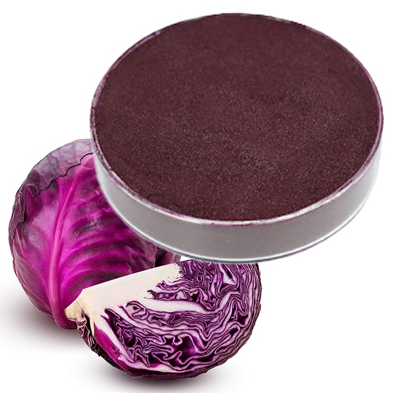 Red Cabbage Natural Color Powder for Food and Beverage Applications
