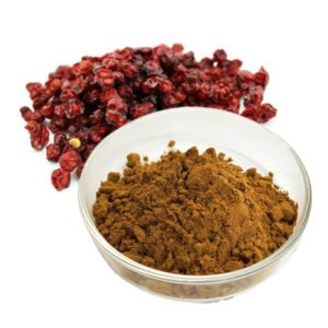 Schisandra Total Lignans Extract Powder, Standardized Lignans, Premium Herbal Ingredient for Supplements & Functional Foods