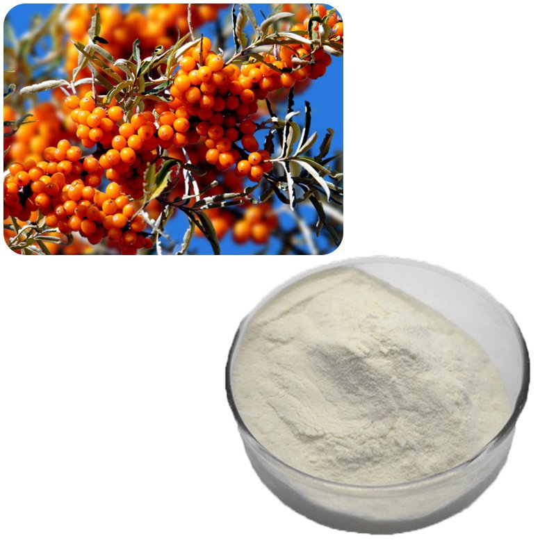 Sea Buckthorn Oligopeptides Powder, High-Purity Bioactive Peptides for Nutraceuticals and Functional Foods