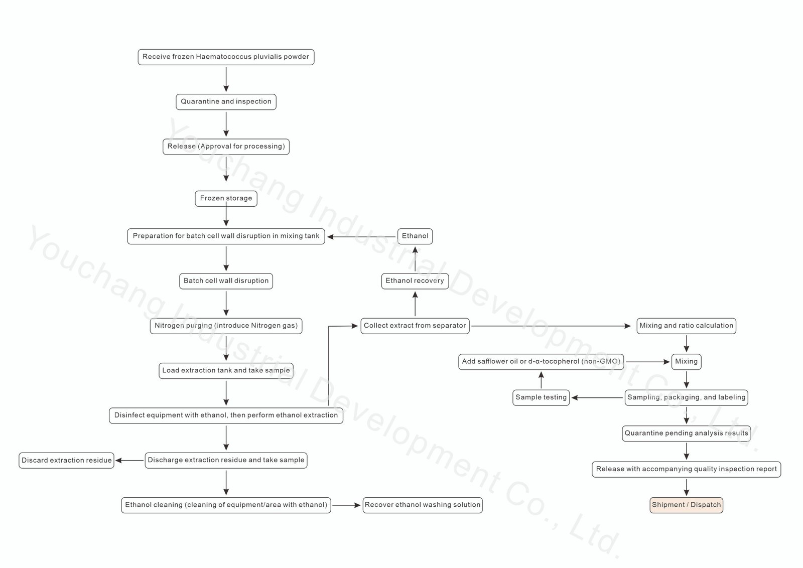 Solvent extraction process of Haematococcus pluvialis oil (Astaxanthin Oil) production