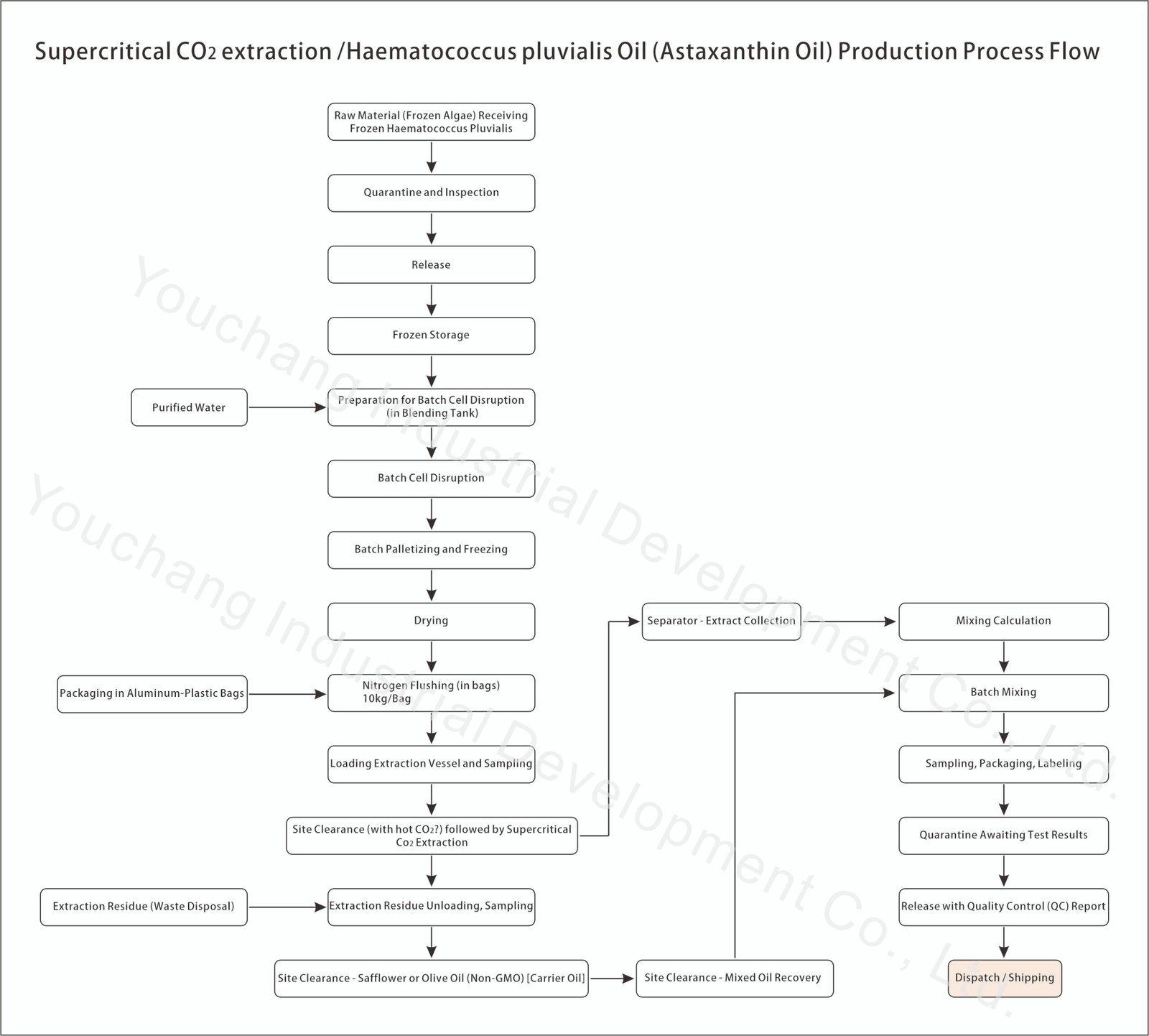 Supercritical CO₂ Extraction Process of Haematococcus pluvialis – Astaxanthin Oil Production