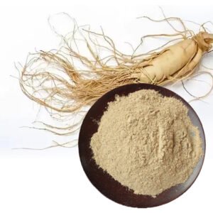 Total Ginsenosides Panax Ginseng Extract Powder for Nutraceuticals and Health Supplements