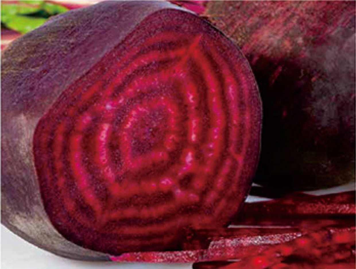 Beetroot red pigment powder natural food color ingredient