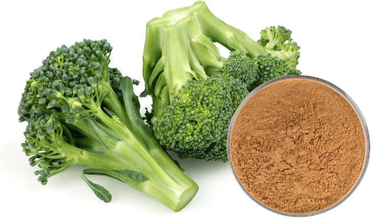 Broccoli extract Glucoraphanin powder for nutraceutical and dietary supplement applications