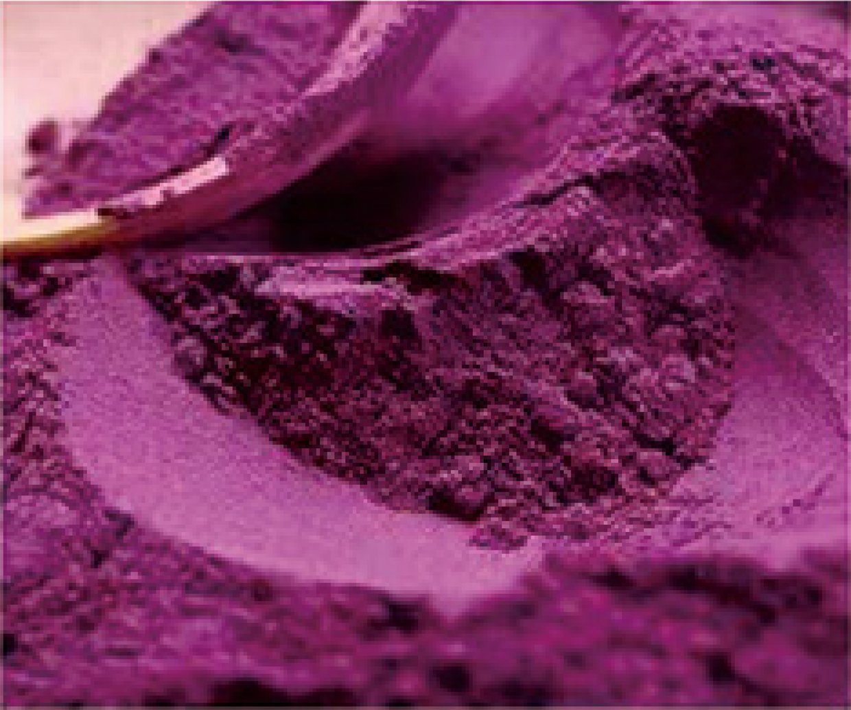Purple sweet potato extract colorant for food and beverage applications