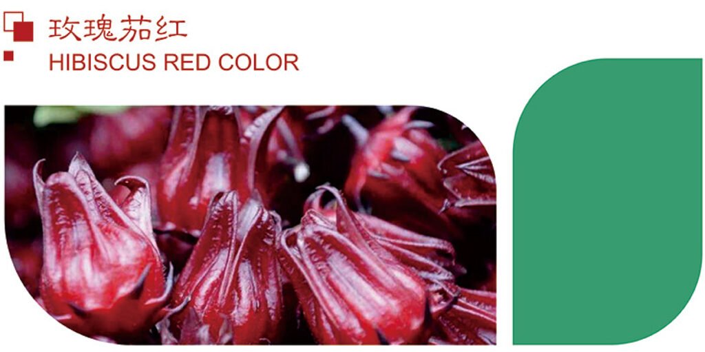Roselle red natural pigment plant-based food color