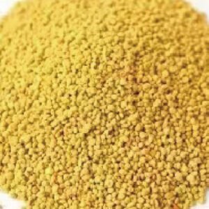 Selected rapeseed pollen natural bee pollen ingredient