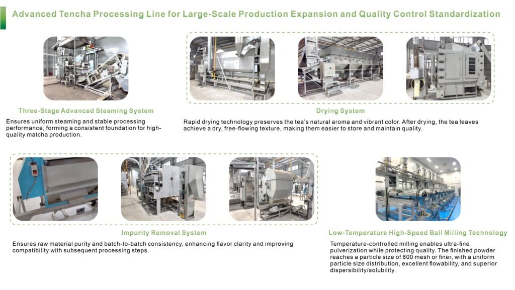 Advanced matcha processing line with automated steaming, drying, grinding, and quality control system