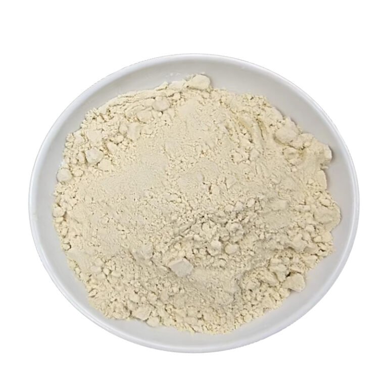 Enzymatic processing vs conventional lotus seed powder comparison showing differences in solubility, absorption, and functionality