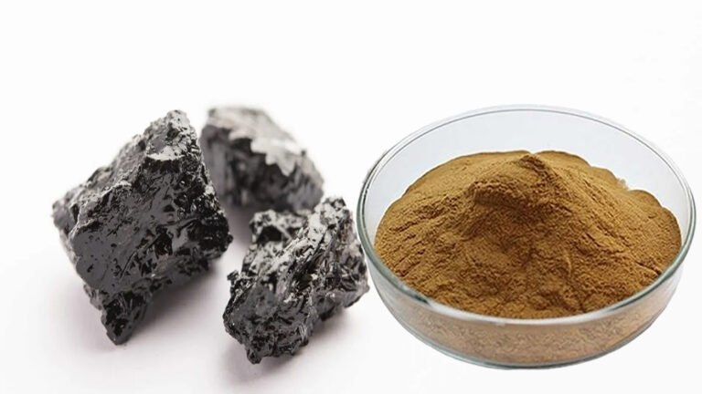 Shilajit Powder Extract rich in fulvic acid for nutraceutical and dietary supplement manufacturing