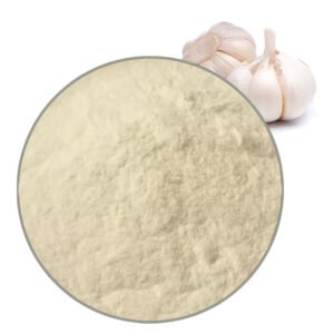 Dehydrated Garlic Powder fine mesh seasoning ingredient for industrial food manufacturing bulk supply
